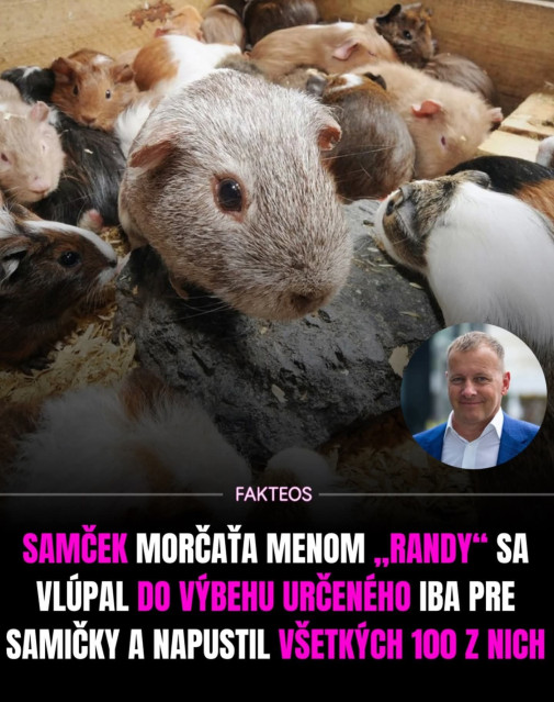 Randy